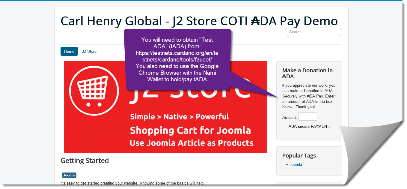 Screenshot 2022 03 30 at 12 32 55 Carl Henry Global J2 Store COTI DA Pay Demo 1